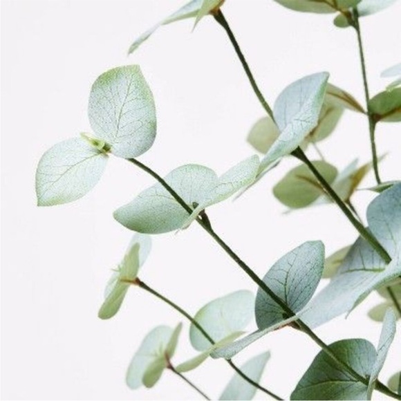 Large Artificial Eucalyptus Plant in Pot
NWT.
- Threshold designed with Studio M - Picture 2 of 3